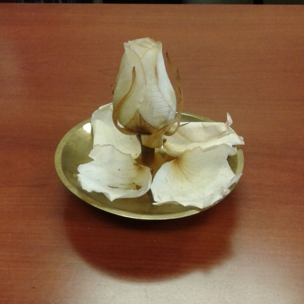 Sepia Forever Eternity Rose in brass stand .
